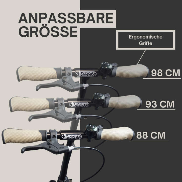 BEST SPORTING Cityroller Scooter 205 für Kinder und Erwachsene